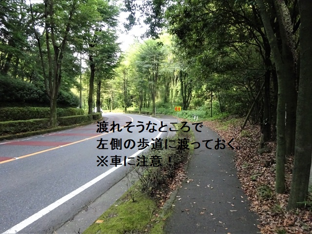 RDSC01180