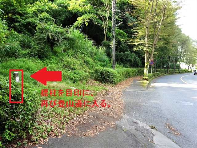 RDSC01181
