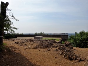 RDSC01214