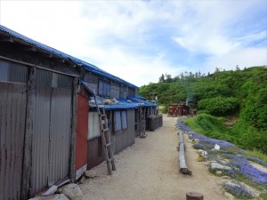 RDSC01332