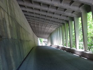 RDSC01430