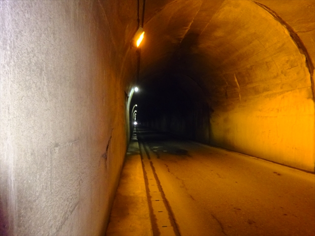 RDSC01433