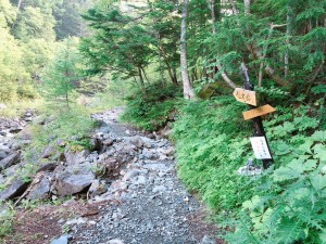 IMG_0967