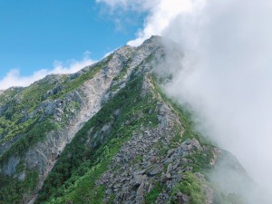 IMG_0985