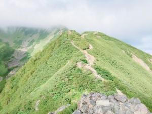 IMG_1050