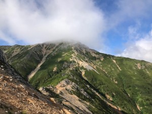 IMG_4950