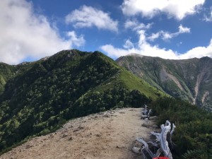IMG_4955