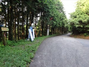 RDSC01697