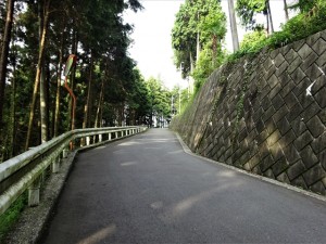 RDSC01699