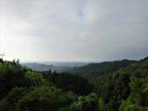 RDSC01700