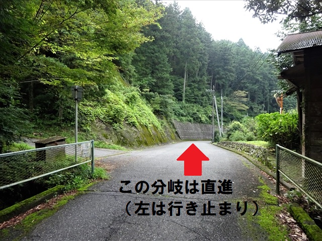 RDSC01719
