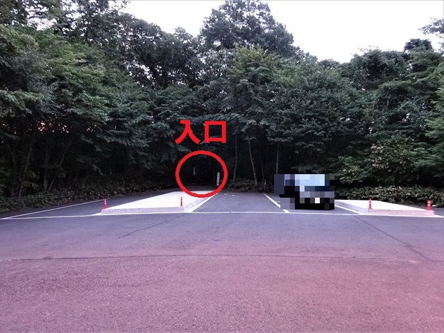 RDSC01734