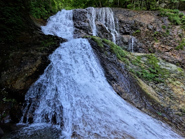 RDSC01782