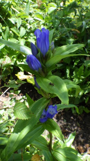 RIMG0986