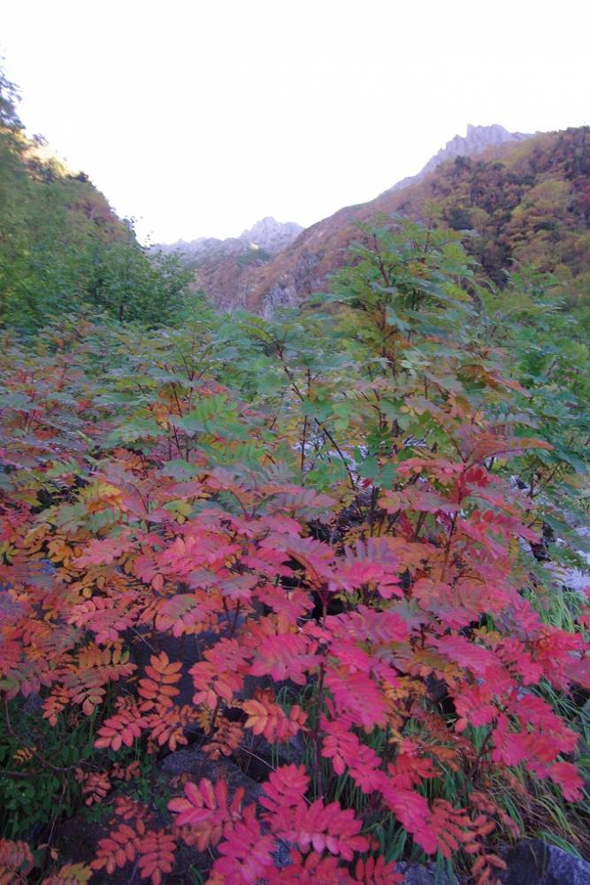 付近は紅葉が見事でした