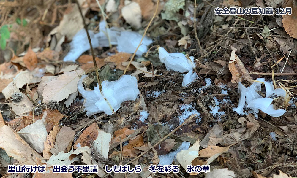 12月登山の日