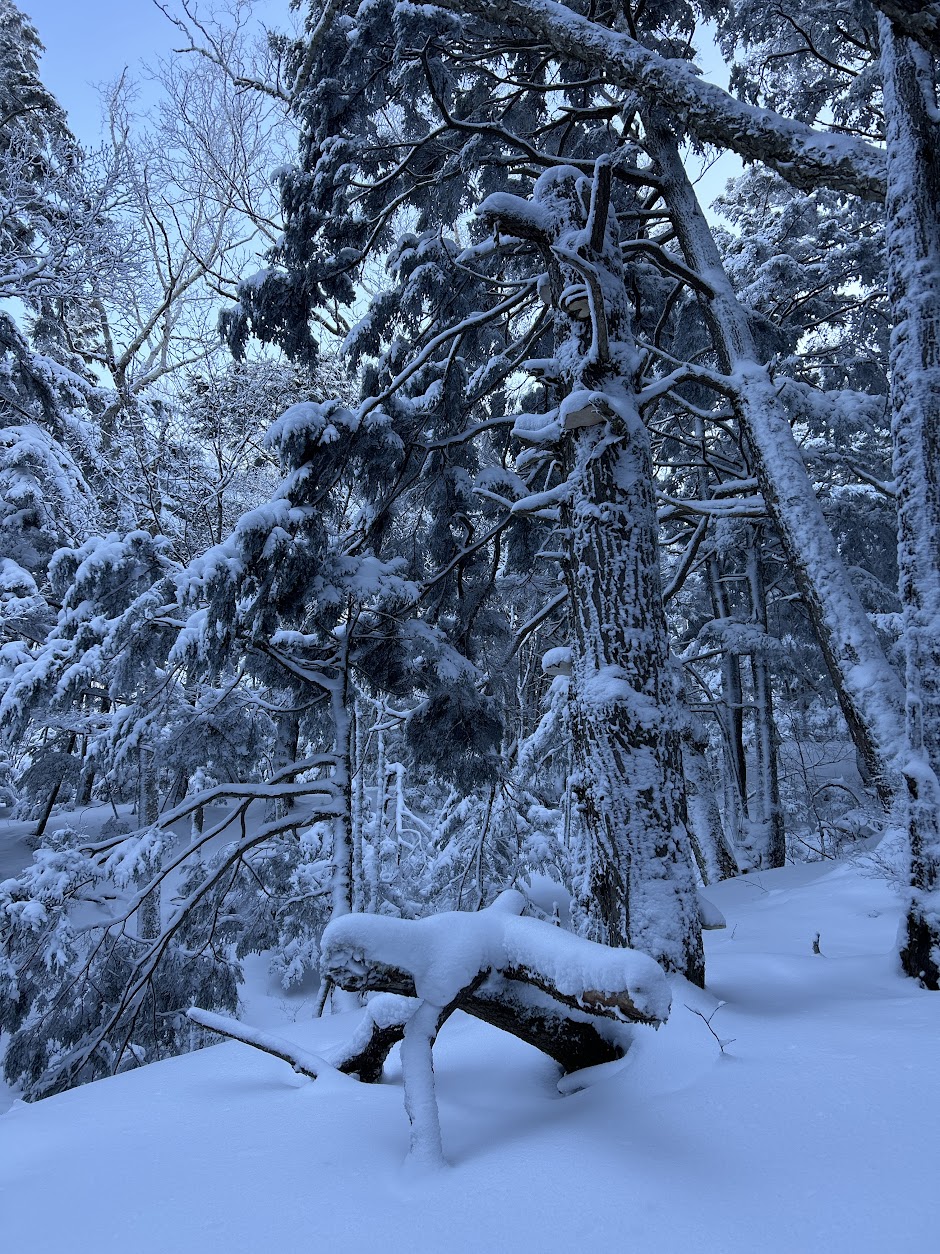 12月登山の日