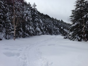 IMG_3457