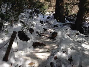 IMG_3538