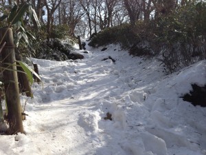 IMG_3558