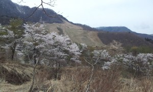 2014-04-22 13.29.35