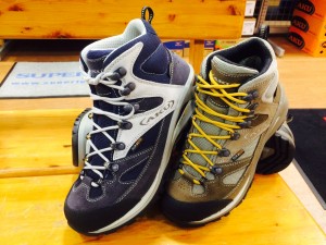 トランスアルピナ