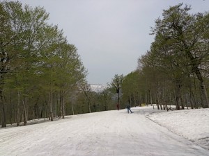 DSC_1700
