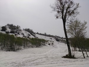 DSC_1704