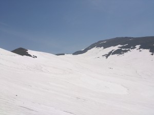 DSC_1777