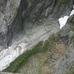 DSCN1769