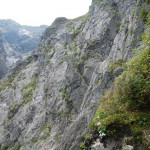 DSCN1773