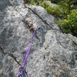 DSCN1783