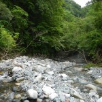 DSCN1814