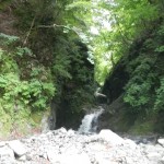 DSCN1818
