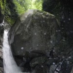 DSCN1820