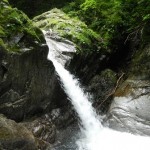 DSCN1823