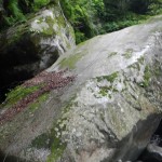 DSCN1825