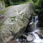 DSCN1826