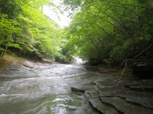 IMGP0560