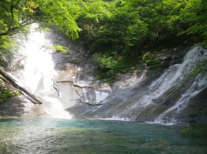 IMGP0564