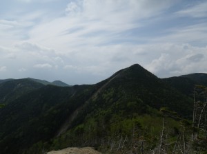 IMGP0587