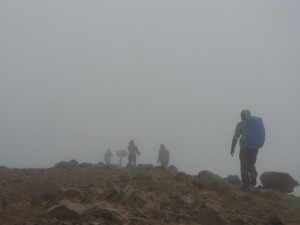 IMG_7950