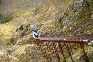【ici club 原宿 MAMMUT】…
