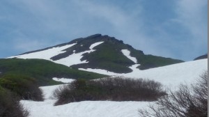 PAP_0185