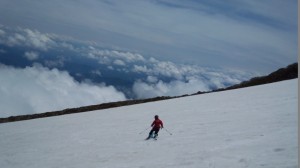 PAP_0368