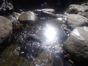 P8190207