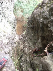 image11