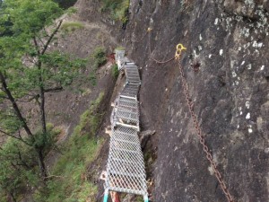 image12
