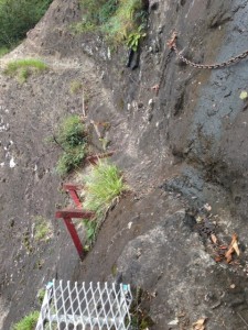 image13
