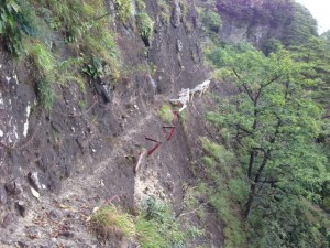 image14